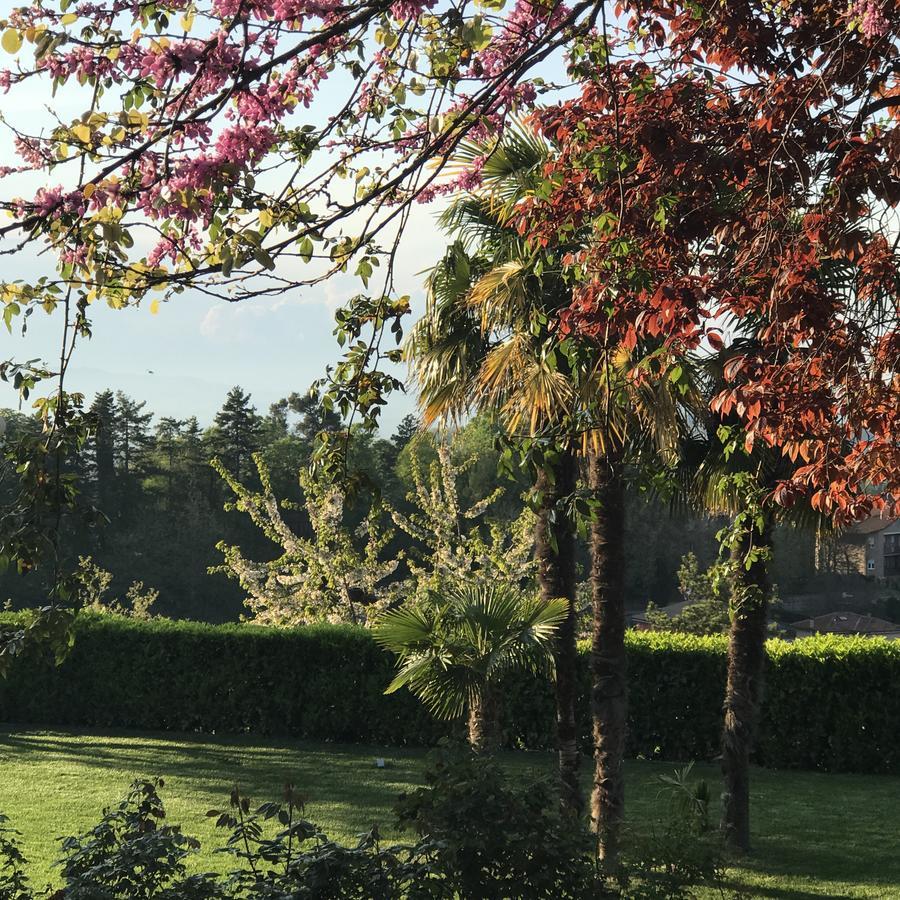 Residenza Ambrogi Bed & Breakfast Urbino Eksteriør bilde